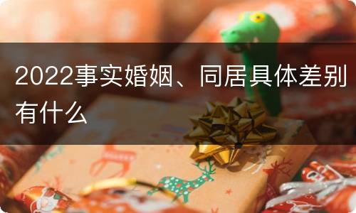 2022事实婚姻、同居具体差别有什么