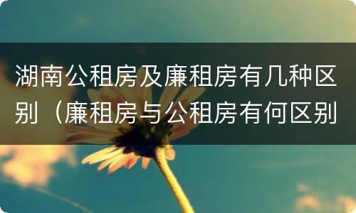 湖南公租房及廉租房有几种区别（廉租房与公租房有何区别）