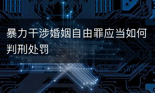 暴力干涉婚姻自由罪应当如何判刑处罚