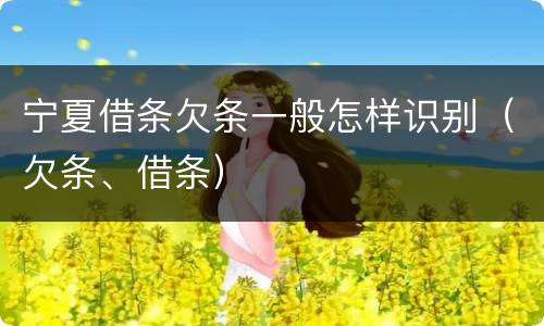 宁夏借条欠条一般怎样识别（欠条、借条）