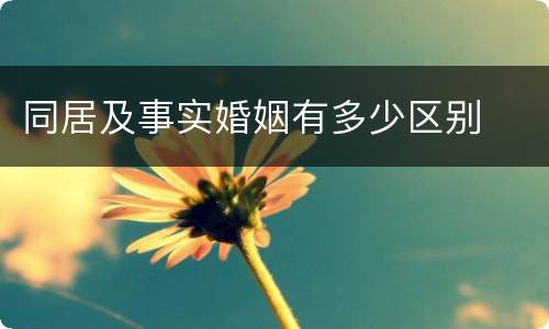 同居及事实婚姻有多少区别