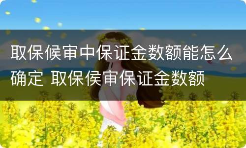 取保候审中保证金数额能怎么确定 取保侯审保证金数额