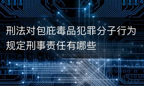 刑法对包庇毒品犯罪分子行为规定刑事责任有哪些