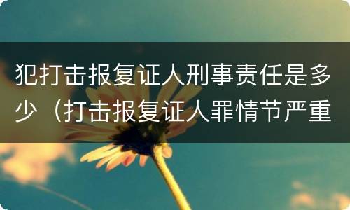 犯打击报复证人刑事责任是多少（打击报复证人罪情节严重）