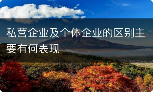 私营企业及个体企业的区别主要有何表现