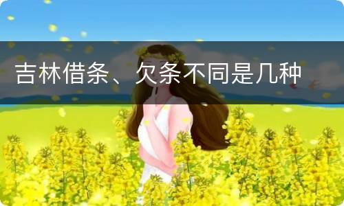 吉林借条、欠条不同是几种