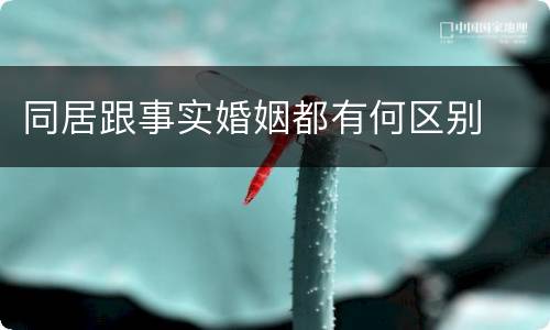 同居跟事实婚姻都有何区别