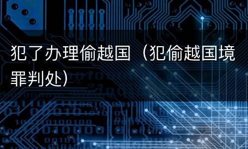 犯了办理偷越国（犯偷越国境罪判处）