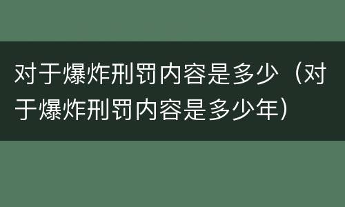 对于爆炸刑罚内容是多少（对于爆炸刑罚内容是多少年）