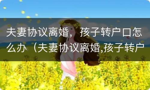 夫妻协议离婚，孩子转户口怎么办（夫妻协议离婚,孩子转户口怎么办手续）