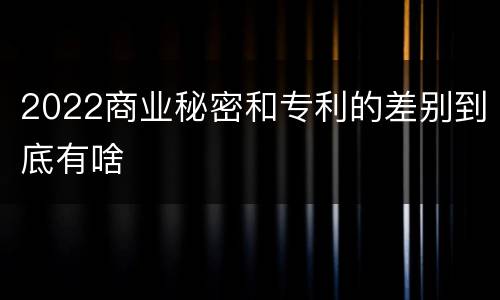 2022商业秘密和专利的差别到底有啥