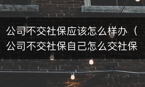 公司不交社保应该怎么样办（公司不交社保自己怎么交社保）