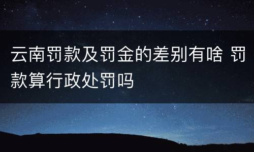 云南罚款及罚金的差别有啥 罚款算行政处罚吗