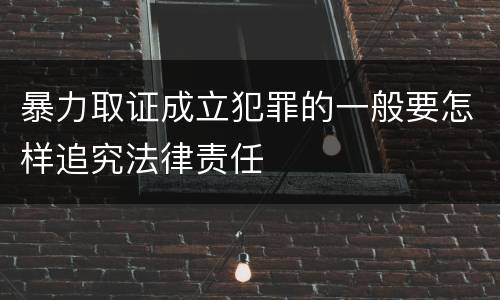 暴力取证成立犯罪的一般要怎样追究法律责任