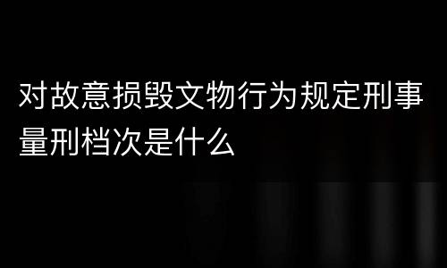 对故意损毁文物行为规定刑事量刑档次是什么