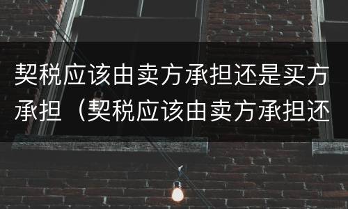 契税应该由卖方承担还是买方承担（契税应该由卖方承担还是买方承担呢）
