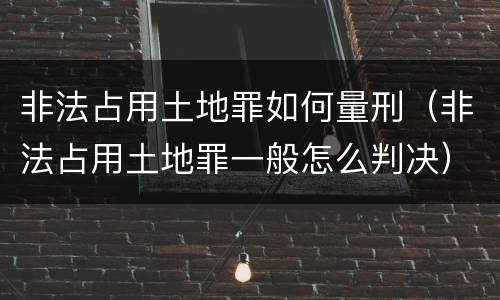 非法占用土地罪如何量刑（非法占用土地罪一般怎么判决）