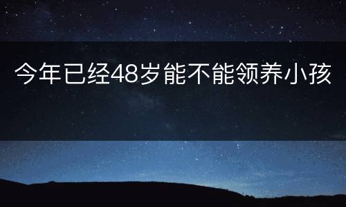 今年已经48岁能不能领养小孩