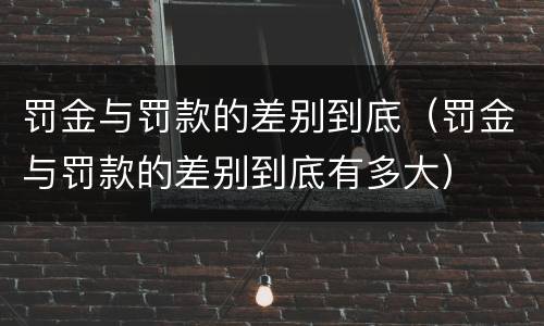 罚金与罚款的差别到底（罚金与罚款的差别到底有多大）