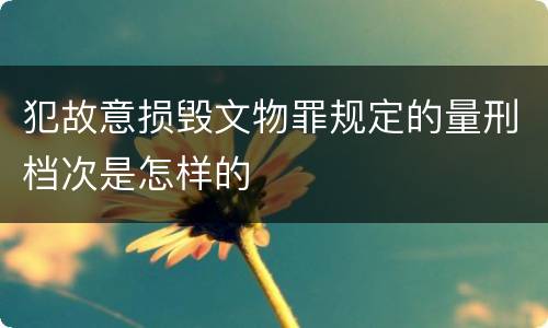 犯故意损毁文物罪规定的量刑档次是怎样的