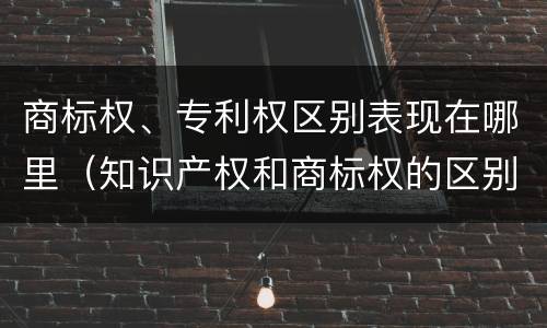商标权、专利权区别表现在哪里（知识产权和商标权的区别）