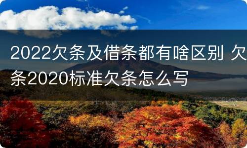2022欠条及借条都有啥区别 欠条2020标准欠条怎么写