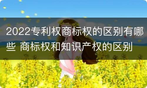 2022专利权商标权的区别有哪些 商标权和知识产权的区别