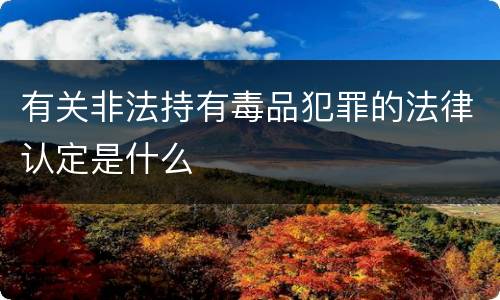 有关非法持有毒品犯罪的法律认定是什么