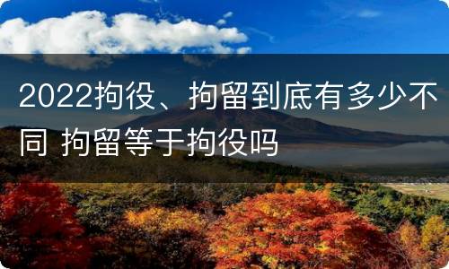 2022拘役、拘留到底有多少不同 拘留等于拘役吗