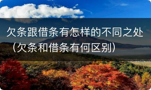 欠条跟借条有怎样的不同之处（欠条和借条有何区别）