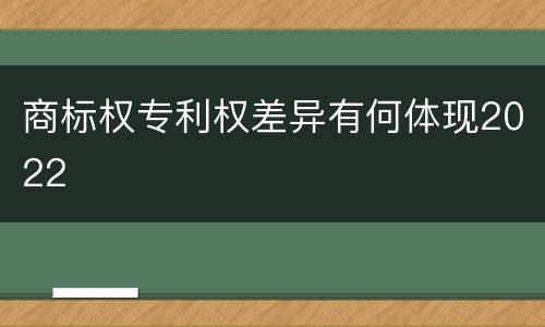 商标权专利权差异有何体现2022