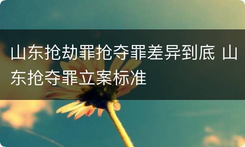 山东抢劫罪抢夺罪差异到底 山东抢夺罪立案标准
