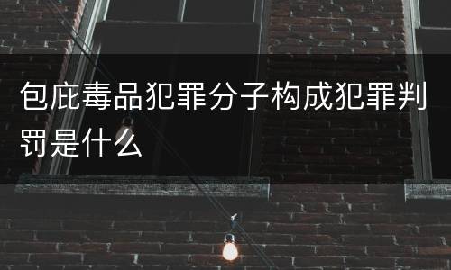 包庇毒品犯罪分子构成犯罪判罚是什么