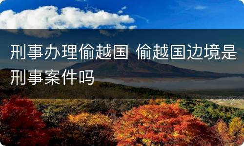 刑事办理偷越国 偷越国边境是刑事案件吗