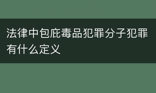 法律中包庇毒品犯罪分子犯罪有什么定义