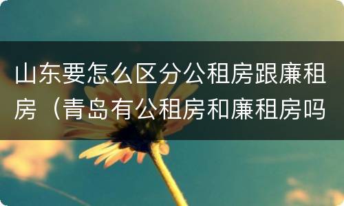 山东要怎么区分公租房跟廉租房（青岛有公租房和廉租房吗）