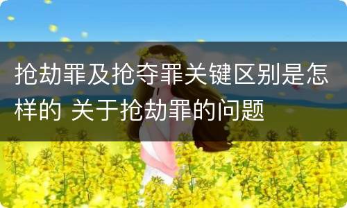 抢劫罪及抢夺罪关键区别是怎样的 关于抢劫罪的问题