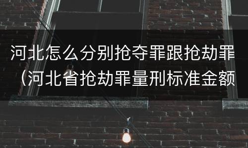 河北怎么分别抢夺罪跟抢劫罪（河北省抢劫罪量刑标准金额）