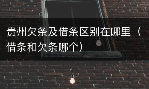 贵州欠条及借条区别在哪里（借条和欠条哪个）