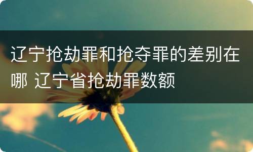 辽宁抢劫罪和抢夺罪的差别在哪 辽宁省抢劫罪数额