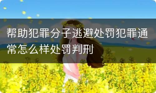 帮助犯罪分子逃避处罚犯罪通常怎么样处罚判刑