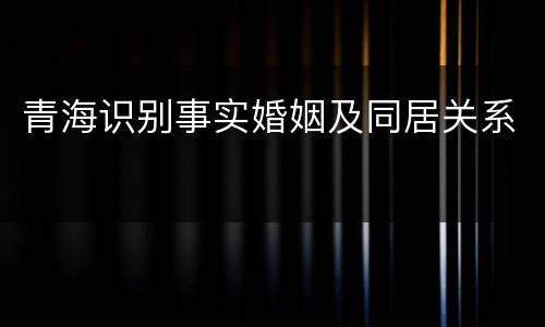 青海识别事实婚姻及同居关系