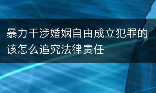 暴力干涉婚姻自由成立犯罪的该怎么追究法律责任