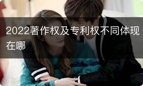 2022著作权及专利权不同体现在哪