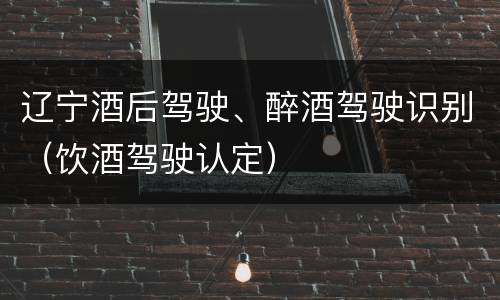 辽宁酒后驾驶、醉酒驾驶识别（饮酒驾驶认定）