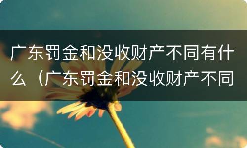 广东罚金和没收财产不同有什么（广东罚金和没收财产不同有什么后果）
