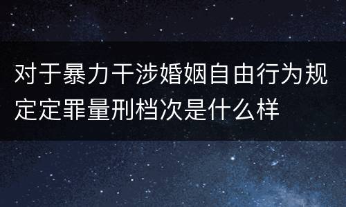 对于暴力干涉婚姻自由行为规定定罪量刑档次是什么样