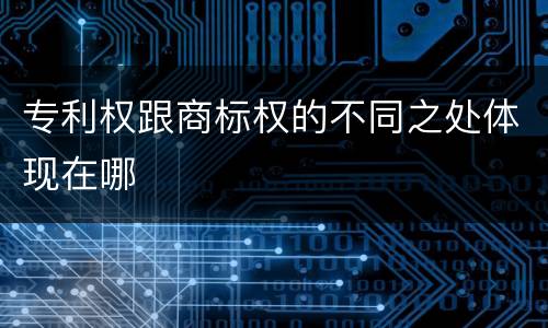 专利权跟商标权的不同之处体现在哪