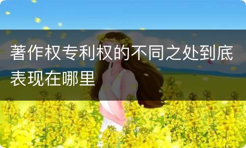 著作权专利权的不同之处到底表现在哪里