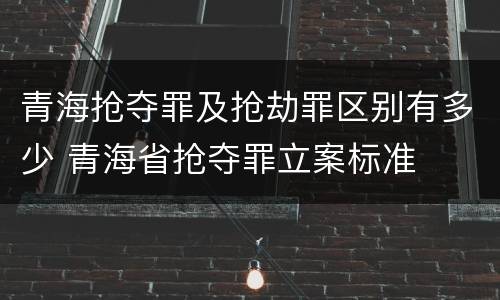 青海抢夺罪及抢劫罪区别有多少 青海省抢夺罪立案标准